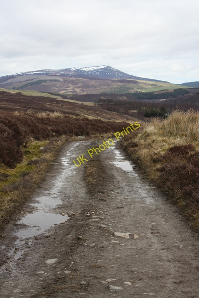 Photo 6"x4" Hill track near Knock Farm Knock Burn\/NJ1427 c2011