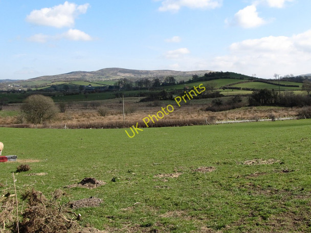 Photo 6"x4" Wetlands on the flood plain of the Muddock River east of Close Road Ballyward c2011