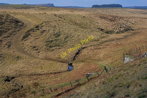 Photo 6"x4" Ray Burn Knowesgate c2011 P1