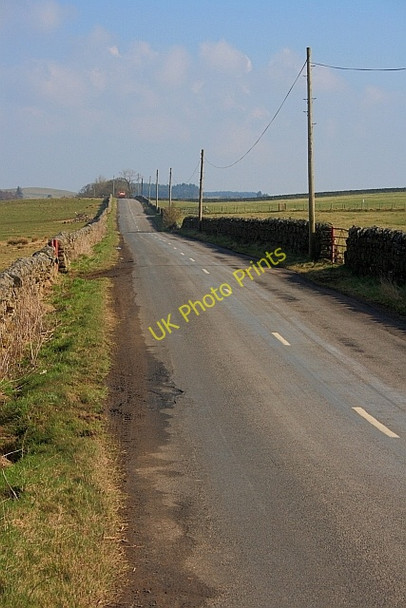 Photo 6"x4" Road to Knowesgate Knowesgate c2011