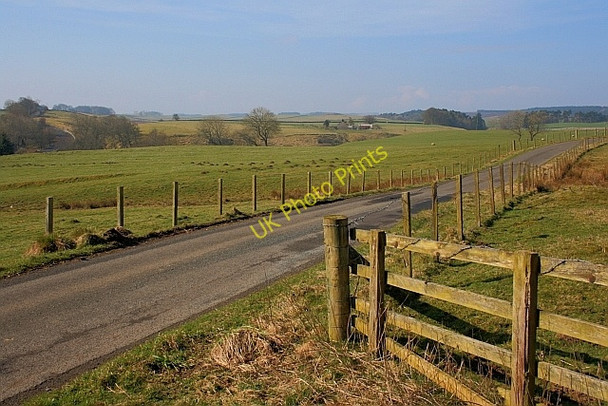 Photo 6"x4" Road to Ray Demesne Knowesgate c2011