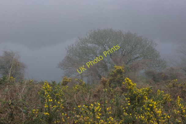 Photo 6"x4" Pont Pill Fowey c2011