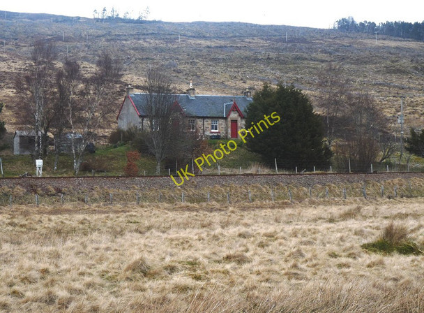 Photo 6"x4" Cottage at Rosebank Rosebank Plantation c2011