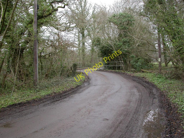 Photo 6"x4" Uddens, Red Bridge Ameysford c2011