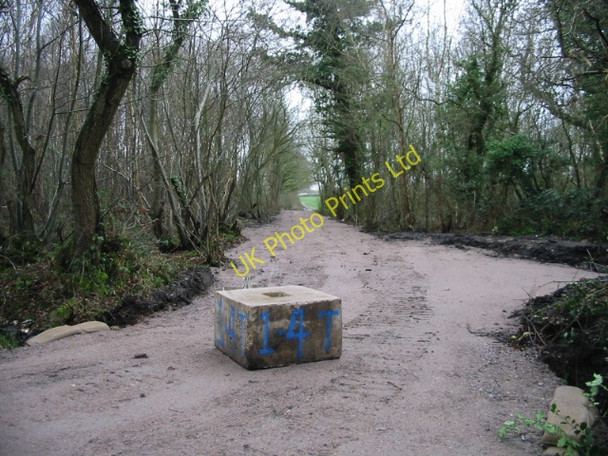 Photo 6"x4" New track through the woods Radfall c2008