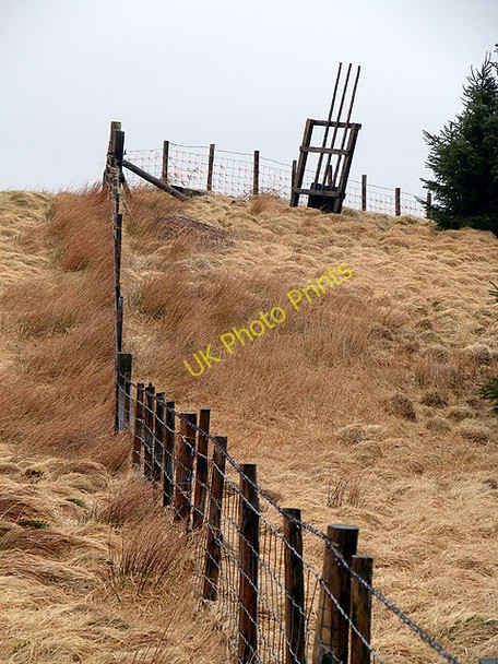 Photo 6"x4" Fence line on Blaen-y-clawdd-du Blaen-y-clawdd-du c2011