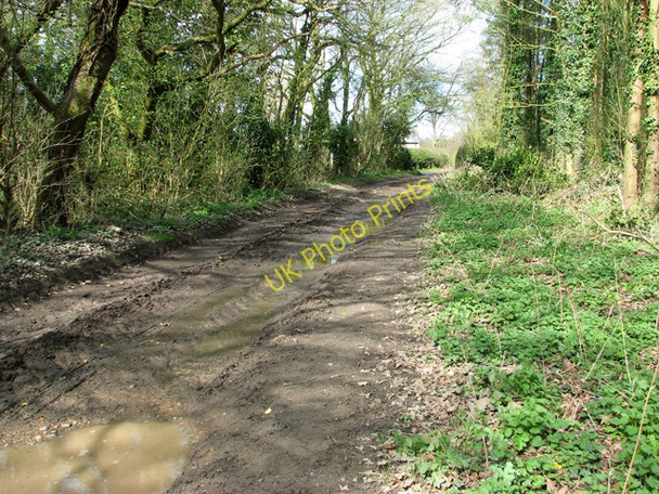 Photo 6"x4" Track through woodland north of Manor Farm, Hanworth Alby Hill c2011