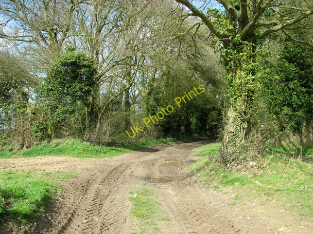 Photo 6"x4" Track to St Bartholomew's church, Hanworth Alby Hill c2011