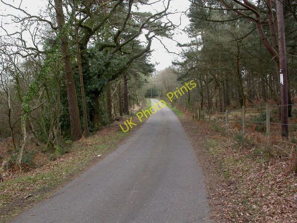 Photo 6"x4" Avon, Wattons Lane Bisterne c2011