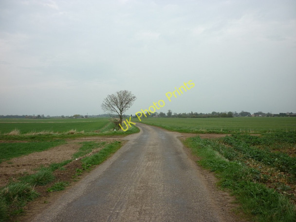 Photo 6"x4" New Lane towards Reedness Swinefleet c2011