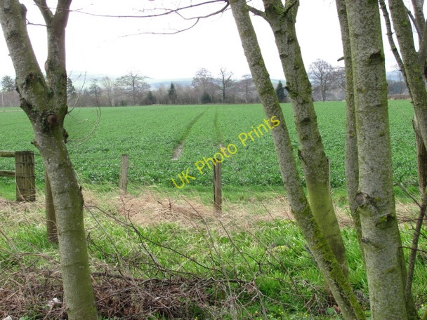 Photo 6"x4" Arable land, Cornhill Coldstream\/NT8439 c2011