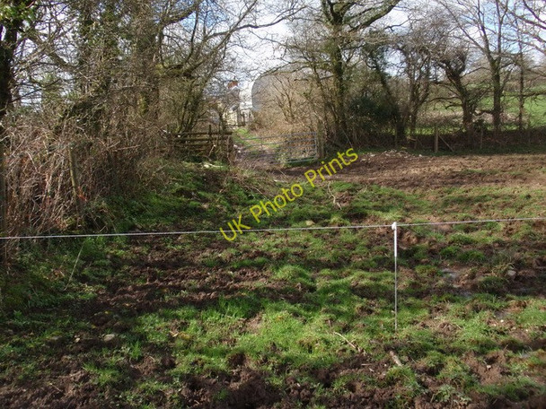 Photo 6"x4" Llwybr Waun Oleu Fach  \/ Waun Oleu Fach footpath Gellywen\/SN2723 c2011