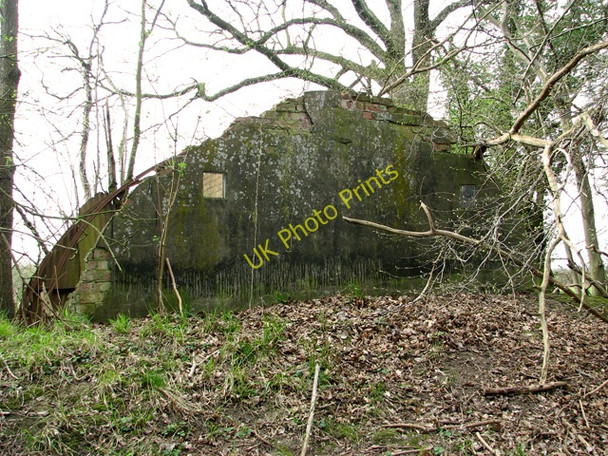 Photo 6"x4" Remains of a Nissen hut by Thorpe Abbotts airfield Upper Street\/TM1780 c2011