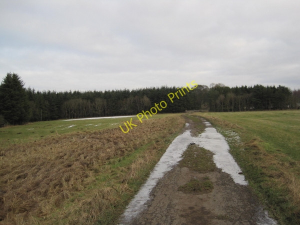 Photo 6"x4" Unfenced Road towards Frolic and Capheaton Capheaton c2011