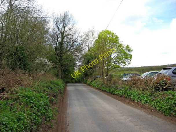 Photo 6"x4" Lea Lane, looking southwest, near Cookley Broadwaters c2011