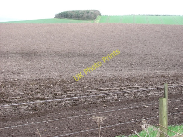Photo 6"x4" Arable land, Cornhill Coldstream\/NT8439 c2011