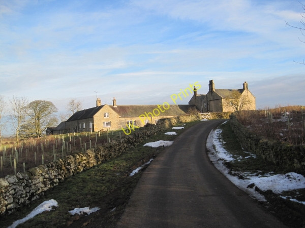 Photo 6"x4" Mirlaw House Capheaton c2011