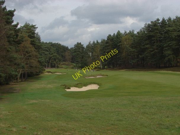 Photo 6"x4" Sunningdale Golf Course Scotswood\/SU9466 c2011