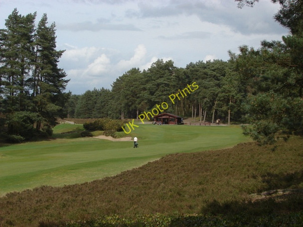 Photo 6"x4" Sunningdale Golf Course Scotswood\/SU9466 c2011