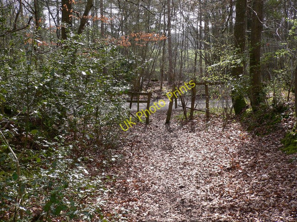 Photo 6"x4" Footpath from Arundel Holt reaches road Bedham c2011