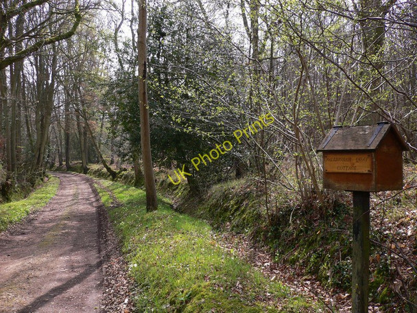 Photo 6"x4" Postbox for cottage on the Wey-South Path Bedham c2011