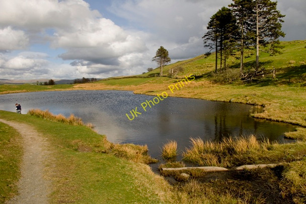 Photo 6"x4" School Knott Tarn Windermere\/SD4198 c2011