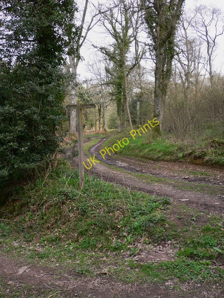 Photo 6"x4" Footpath sign in Waltham Park Lower Horncroft c2011