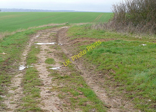 Photo 6"x4" Footpath to Whitchurch Tufton\/SU4546 c2011