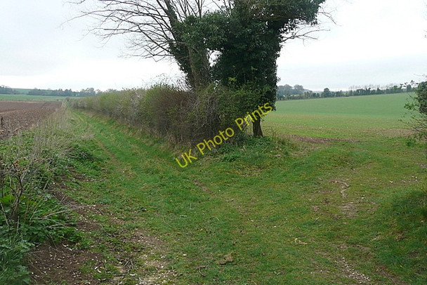 Photo 6"x4" Byway to Tufton Warren farm Tufton\/SU4546 c2011