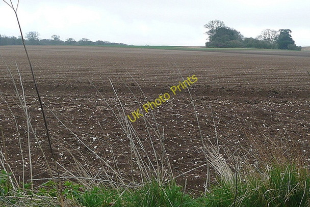 Photo 6"x4" Furzedown Wood Tufton\/SU4546 c2011