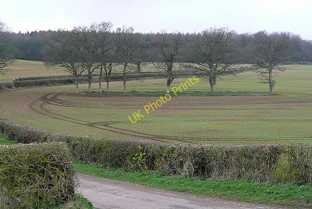 Photo 6"x4" Farmland at New Barn Farm Laverstoke c2011