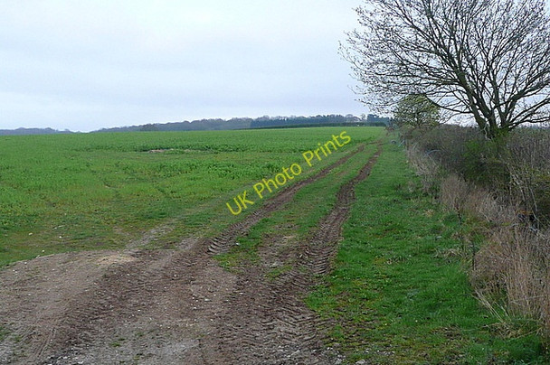 Photo 6"x4" Farmland at Lower Whitehill Overton\/SU5149 c2011