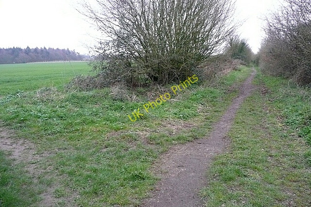Photo 6"x4" Bridleway to White Hill Overton\/SU5149 c2011