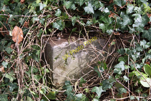 Photo 6"x4" Benchmark on steps near Knapps Wichelo entrance Ipsden c2011