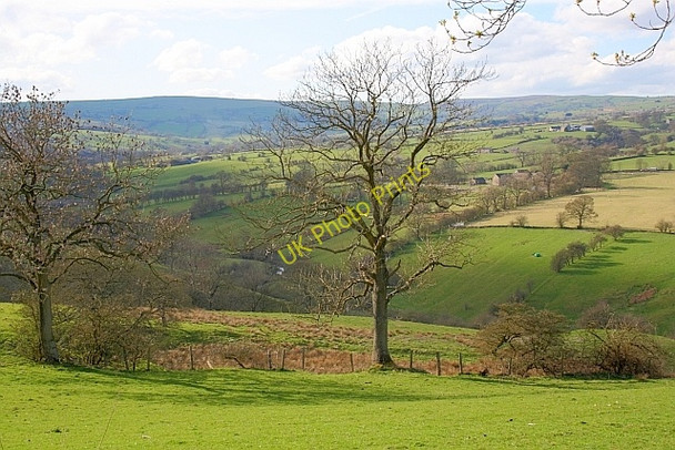 Photo 6"x4" The Warslow Valley Warslow c2011