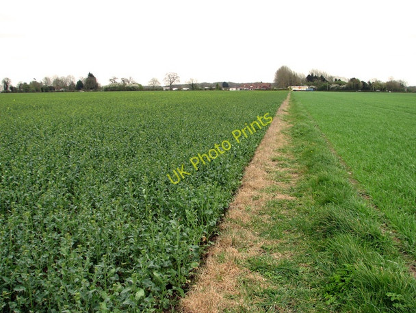Photo 6"x4" Footpath along a field's edge, Wacton Common Wacton Common\/TM1889 c2011
