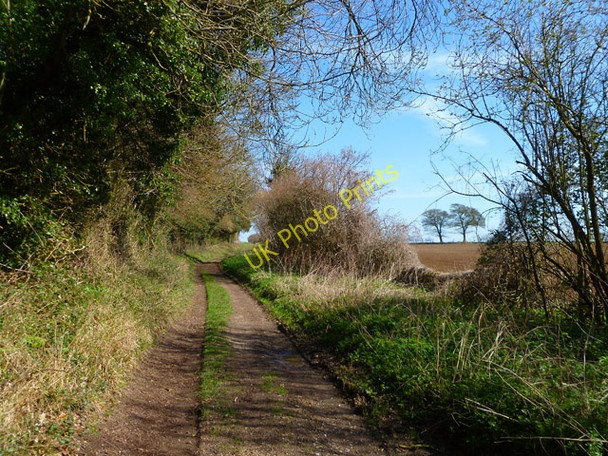 Photo 6"x4" Byroad, Itchen Abbas Couch Green c2011