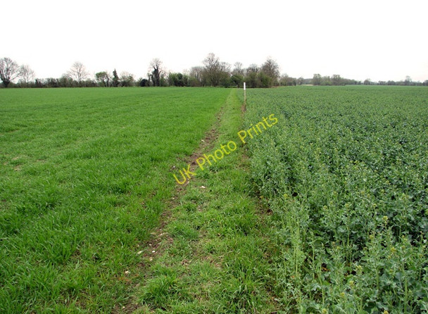 Photo 6"x4" Fields on Wacton Common Wacton Common\/TM1889 c2011
