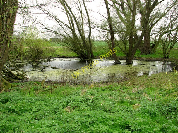 Photo 6"x4" Pond in field on Wacton Common Wacton Common\/TM1889 c2011