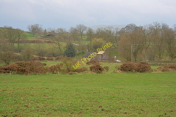 Photo 6"x4" Field near Ridge End Farm Brund c2011