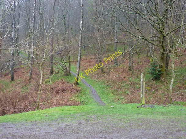 Photo 6"x4" Footpath off Blind Lane Car Park Force Mills c2011