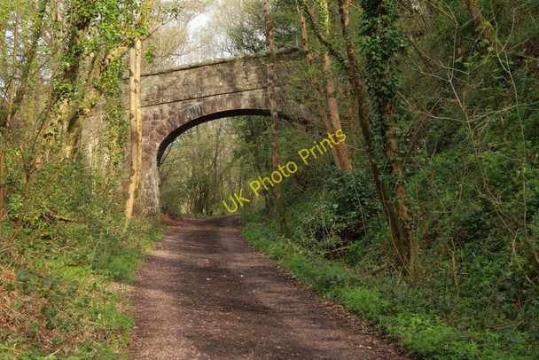 Photo 6"x4" Bridge over dismantled railway track Bovey Tracey c2011