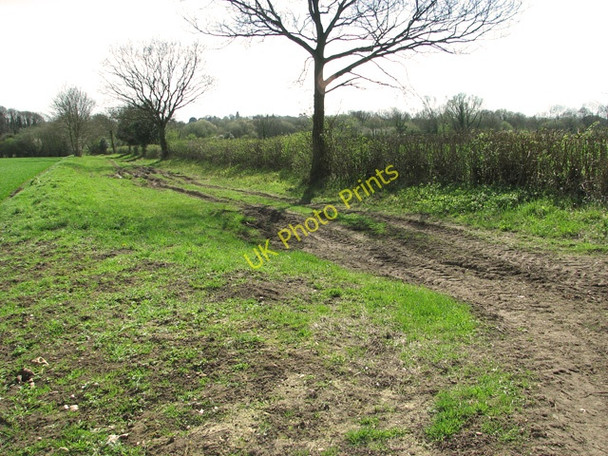 Photo 6"x4" Track to Badley Moor, East Dereham Dumpling Green c2011