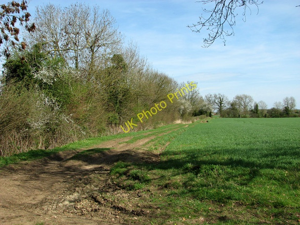 Photo 6"x4" Track to Whitehouse Farm, Yaxham Dumpling Green c2011