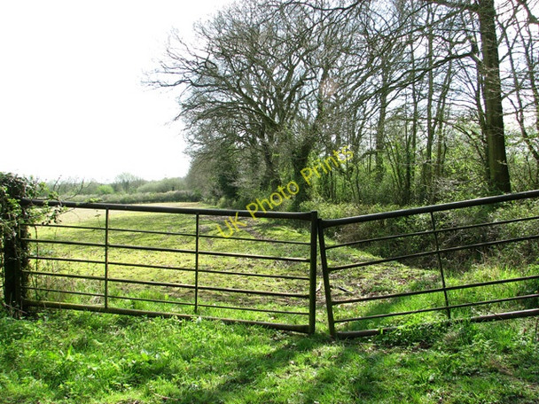 Photo 6"x4" Gate into a pasture on Dumpling Green, East Dereham Dumpling Green c2011