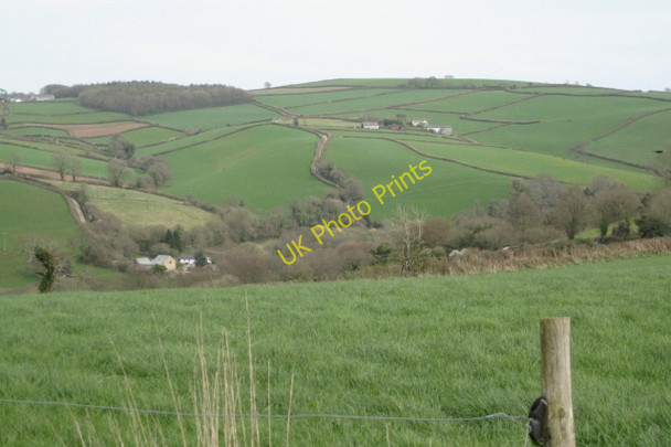 Photo 6"x4" Field east of Bow Cross Abbotsleigh c2011