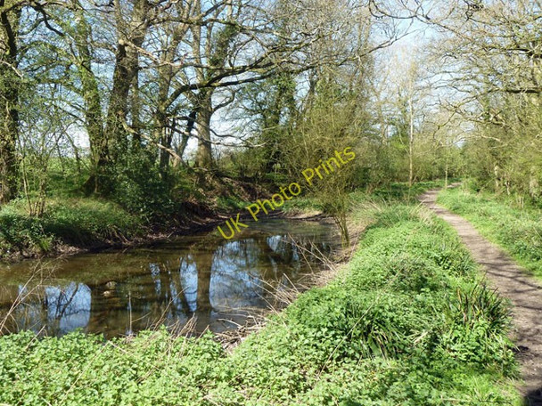 Photo 6"x4" Pond by Oldhouse Lane Balls Green\/TQ1023 c2011