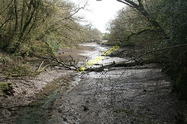 Photo 6"x4" Saltash: creek below railway Trehan c2011