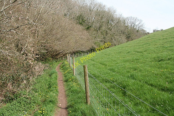 Photo 6"x4" Saltash: public footpath Saltash\/SX4258 c2011