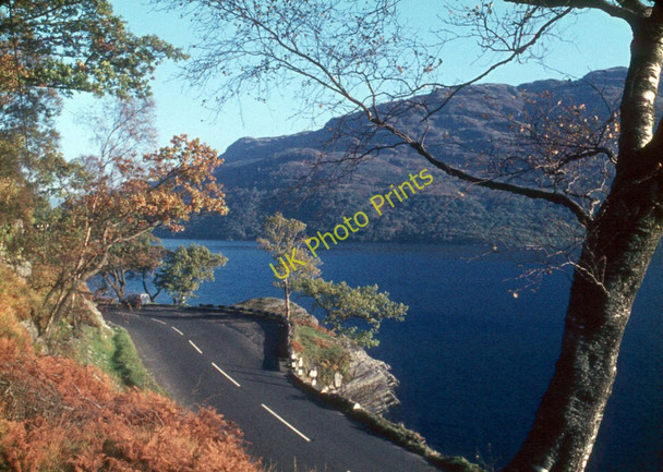 Photo 6"x4" Rubha Mor, Loch Lomond Rowardennan c1971